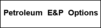 Petroleum E&P Options